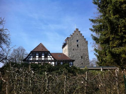 a building with a tower on top of a hill at Mini Apartment in Öhningen