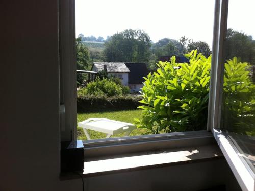 an open window with a view of a garden at Mini Apartment in Öhningen