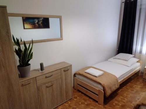 a small bedroom with a small bed and a plant at ApartamentEMILKA in Kudowa-Zdrój