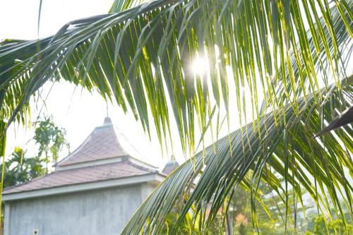a palm tree with a building in the background at Anodard Phuket, Nai Yang Beach in Thalang