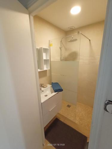 une salle de bain avec un lavabo blanc et une douche dans l'établissement T2 rénové en RDC avec cour, Intra Muros Avignon, à Avignon