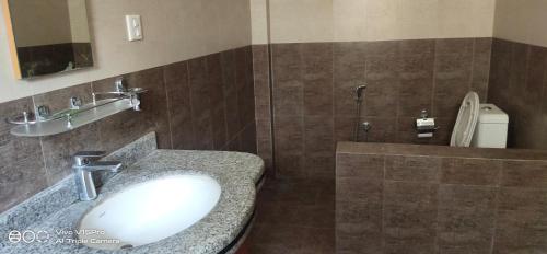 a bathroom with a sink and a toilet at Hotel hornbill in Sauraha