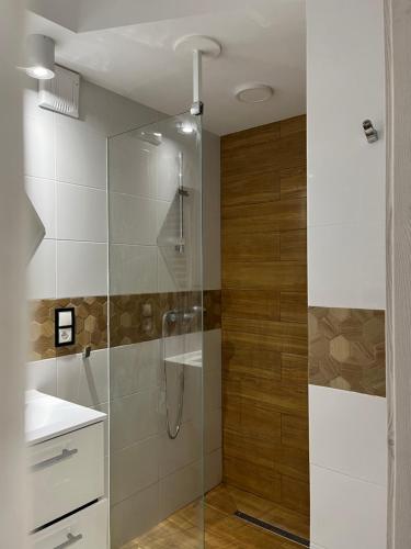 a bathroom with a glass shower with a sink at Kwiatowy zakątek in Koło