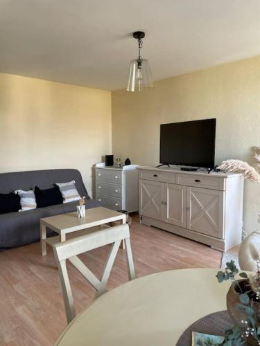 un salon avec un canapé et une télévision à écran plat dans l'établissement Appart Cosy 2 chambres, à Bruz