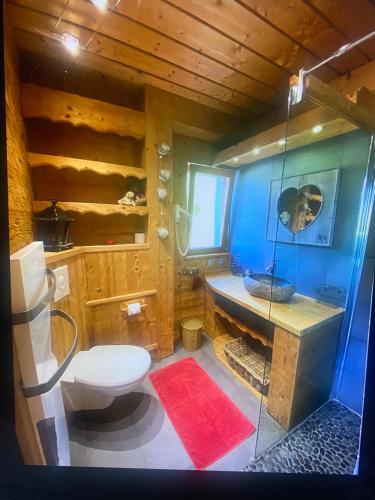 La salle de bains est pourvue de toilettes et d'une douche en verre. dans l'établissement Chalet d' Annelise, à Gérardmer