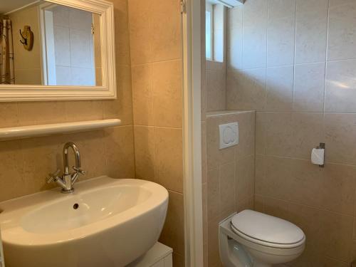 a bathroom with a sink and a toilet and a mirror at Balsemientexel in De Koog