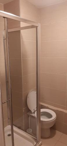 a bathroom with a toilet and a glass shower stall at Delightful home stay - Double ensuiteroom. in Glasgow