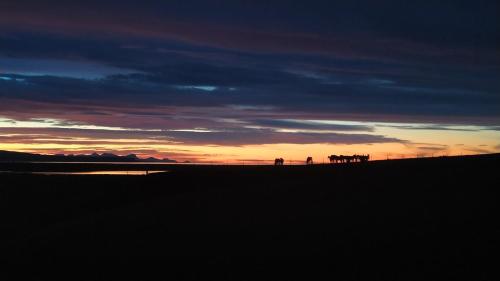 a group of people standing on a hill at sunset at Brekkukot Cottages, Blönduós in Blönduós