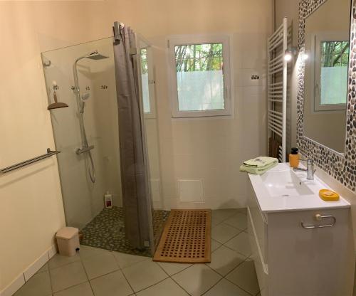 a bathroom with a shower and a sink at Suite privative Abella - Aile de maison bourgeoise in Ambarès-et-Lagrave