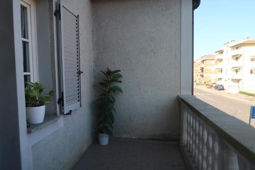 una pianta seduta su un balcone con finestra di La casa di Ale ad Arezzo