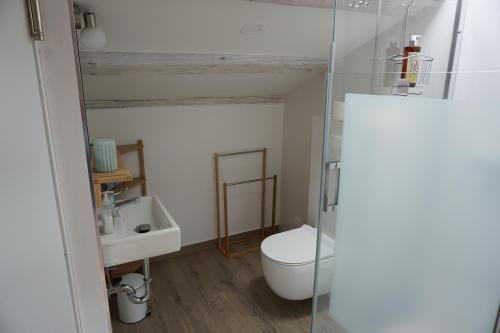 uma casa de banho com um WC e um lavatório em Farmhouse Cubani em Bale
