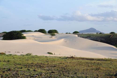 Un paisaje natural cerca del departamento