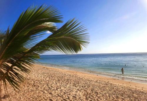 a person walking on a beach with a palm tree at Sunkissed - Brand New Beach apartment located 50m from beach in Flic-en-Flac