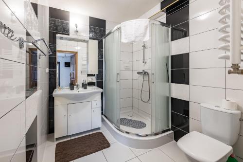 a bathroom with a shower and a toilet and a sink at Apartamenty u Bacy in Jurgów