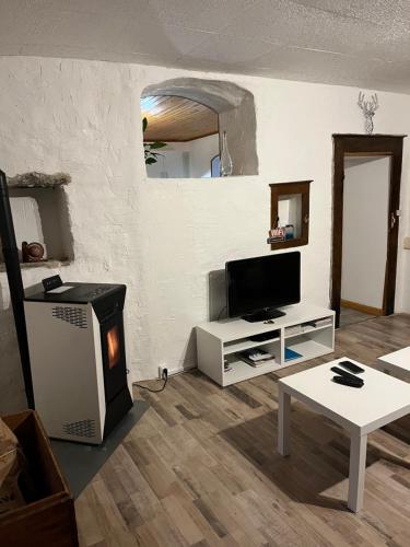 Una sala de estar con televisión y estufa. en Gîte des reculées, en Ladoye-sur-Seille