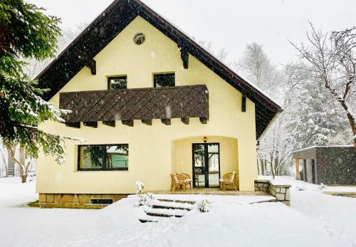 a house covered in snow in the yard at Vila Park Ravne in Ravne na Koroškem