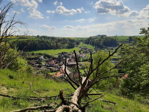 a tree in a field with a town in the distance at Haus an der Werbe Studio Kl osterblick in Waldeck