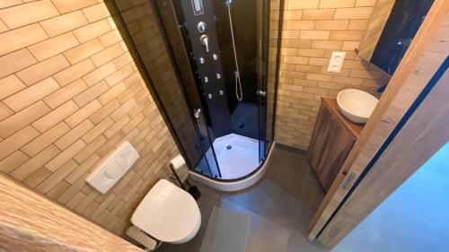 een badkamer met 2 toiletten en een douche. bij K21 "The Good Shepherd" Apartment in Boedapest