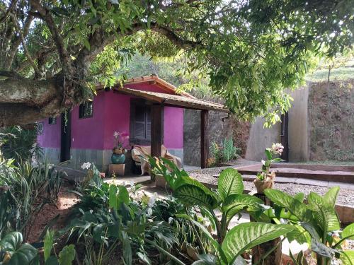a pink house with a tree in front of it at Uaná Etê EVEN GLAMPING Experiências de Charme in Engenheiro Paulo de Frontin