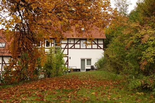 a white house with a red roof at Haus an der Werbe (studio) in Waldeck