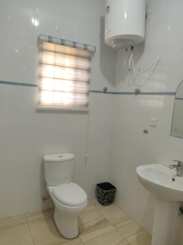a white bathroom with a toilet and a sink at Lakeside Lodge in Apenkwa