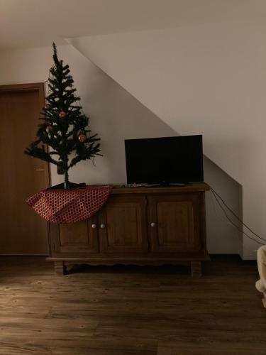 uma árvore de Natal sentada numa cómoda com uma televisão em SchöneWohnung mit eigenem Gsrten und Eingang em Schwentinental