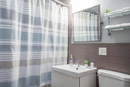 a bathroom with a sink and a shower curtain at Gorgeous 1BR Wooster Sq. apt. - wshr/dryr, parking in New Haven