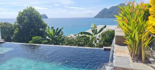 studio cosi, jardin privé, vue magique depuis piscine à débordement de la résidence