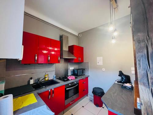 Virtuve vai virtuves zona naktsmītnē Appartement idéal au cœur d Auxerre