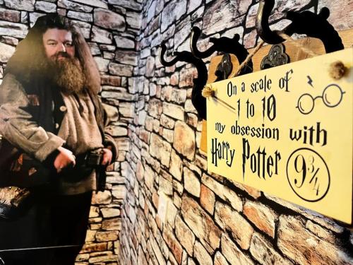 Un dipinto di un uomo in piedi accanto a un muro con un cartello di Hagrid's Hut a Watford