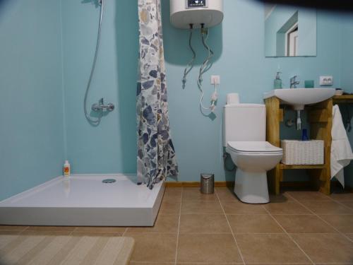 a bathroom with a shower and a toilet and a sink at Mežurgu teltis in Dikļi