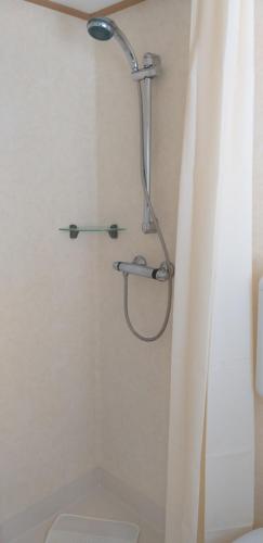 een douche in een badkamer met een douchegordijn bij tuinfluiter 50 in Oisterwijk