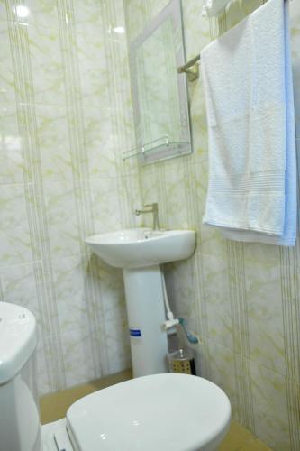 a bathroom with a white toilet and a sink at Living Green APARTMENTS AIRPORT PICK UP in Benin City