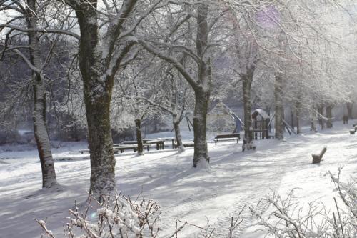 Haus am Karpfenteich durante l'inverno
