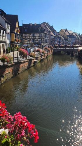 a river in a city with buildings and flowers at Le Bienvenue à Colmar - Parking Privé Inclus, Centre à Deux Pas in Colmar