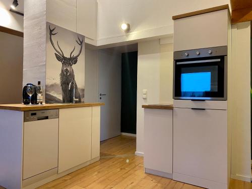 a kitchen with white cabinets and a tv at Platzhirsch in Kehl am Rhein