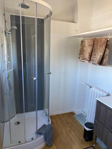 a shower with a glass door in a bathroom at Maison chaleureuse avec piscine 