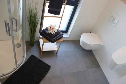 a bathroom with a shower and a toilet and a window at Luxury Villa Meerbrise - Private Pool - Near Medulin, Kamenjak, Pola in Banjole