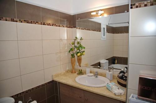 een badkamer met een wastafel en een vaas met bloemen op een aanrecht bij ΜΕΖΟΝΕΤΑ 120 τ.μ. in Kalabaka