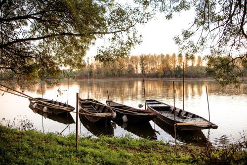 two boats sitting in the water on a lake at Auberge de la Caillère in Candé-sur-Beuvron