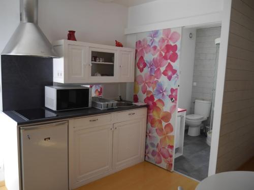 eine Küche mit einer Spüle und einer Mikrowelle in der Unterkunft Studio de Fontaine in Fontaine-le-Comte