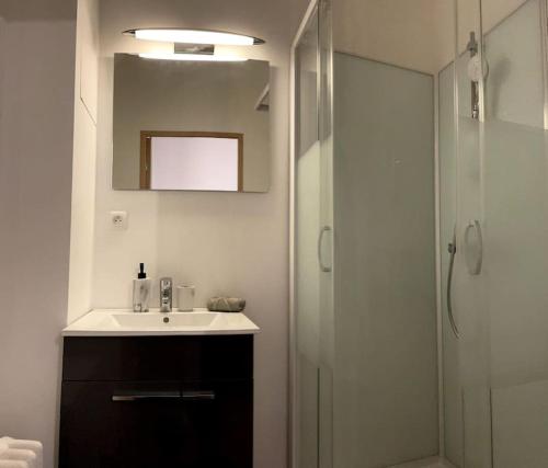 y baño con lavabo y ducha con espejo. en Superbe Appartement Paris 16, en París