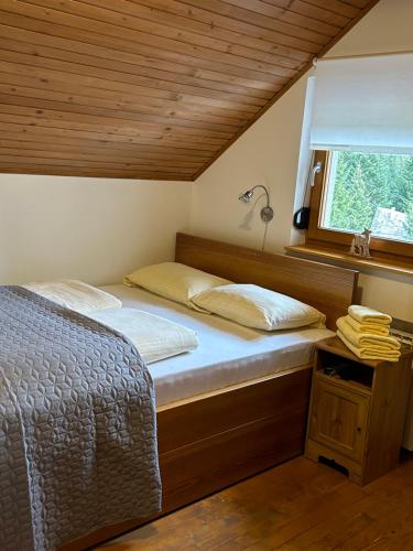 ヤホリナにあるGuest House Alpha Ski Campのベッドルーム1室(ベッド2台、窓付)