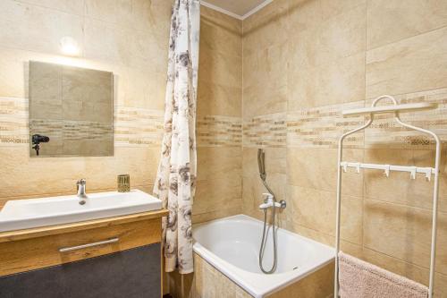 a bathroom with a tub and a sink and a shower at apartmán 1kk Zlámanka in Kroměříž