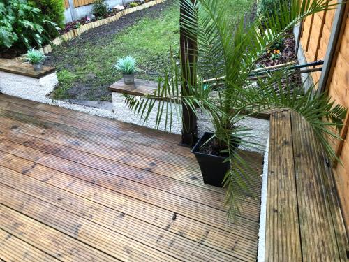 a wooden deck with a potted plant on it at North London Rooms in London