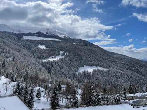 a mountain covered in trees and snow with a mountain at Maison Etoile - Pila n 0042 in Pila
