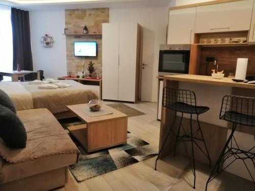 a large living room with a bed and a kitchen at HUSKY Milmari in Kopaonik