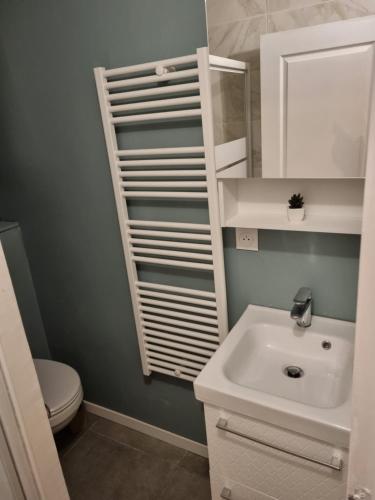 a bathroom with a toilet and a sink at Studio du lac bleu in Morillon