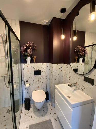 a bathroom with a toilet and a sink at Salt Garden Superior double rooms in Druskininkai