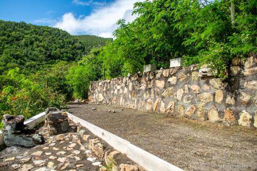 a stone wall next to a road with trees at Villa Fleur de Pirate in Orient Bay